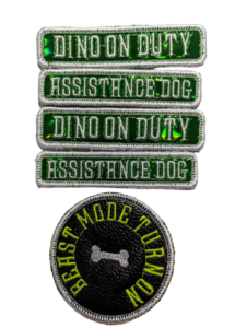 Dino on Duty AD Patches