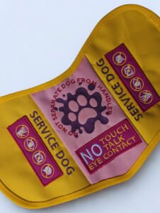 Pink and Yellow No Touch, No Talk, No Eye Contact