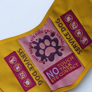 Pink and Yellow No Touch, No Talk, No Eye Contact