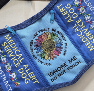 Blue Rainbow Sunflower