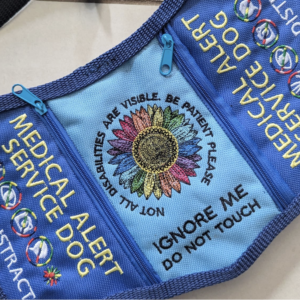 Blue Rainbow Sunflower