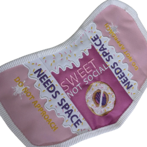 Icing and Sprinkles Needs Space Dog Vest