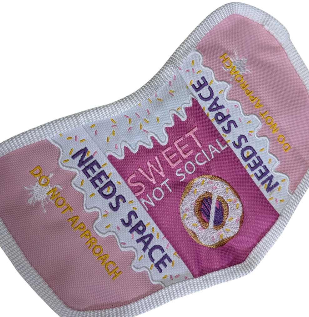 Icing and Sprinkles Needs Space Dog Vest