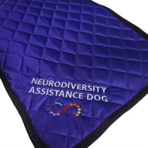 Neurodiversity Infinity Symbol Settle Mat
