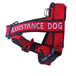 Embroidered Y Front Harness