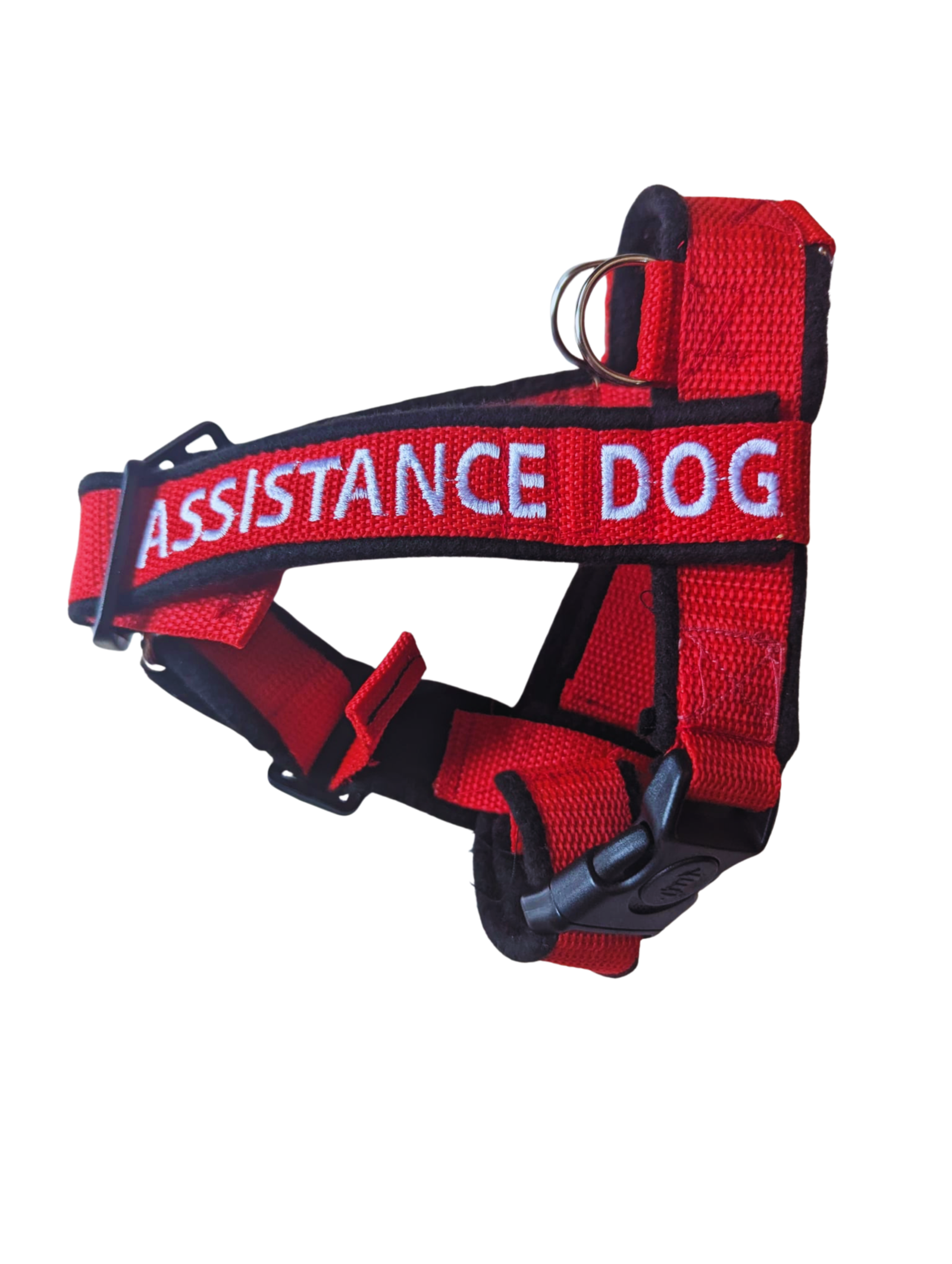 Embroidered Y Front Harness