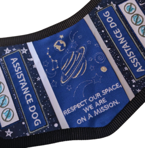 Space Mission Dog Vest