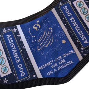 Space Mission Dog Vest