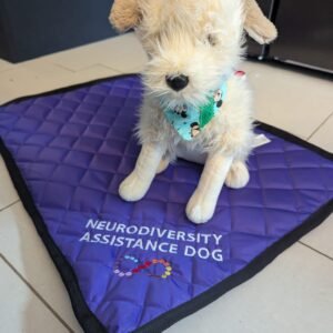 Neurodiversity Infinity Symbol Settle Mat