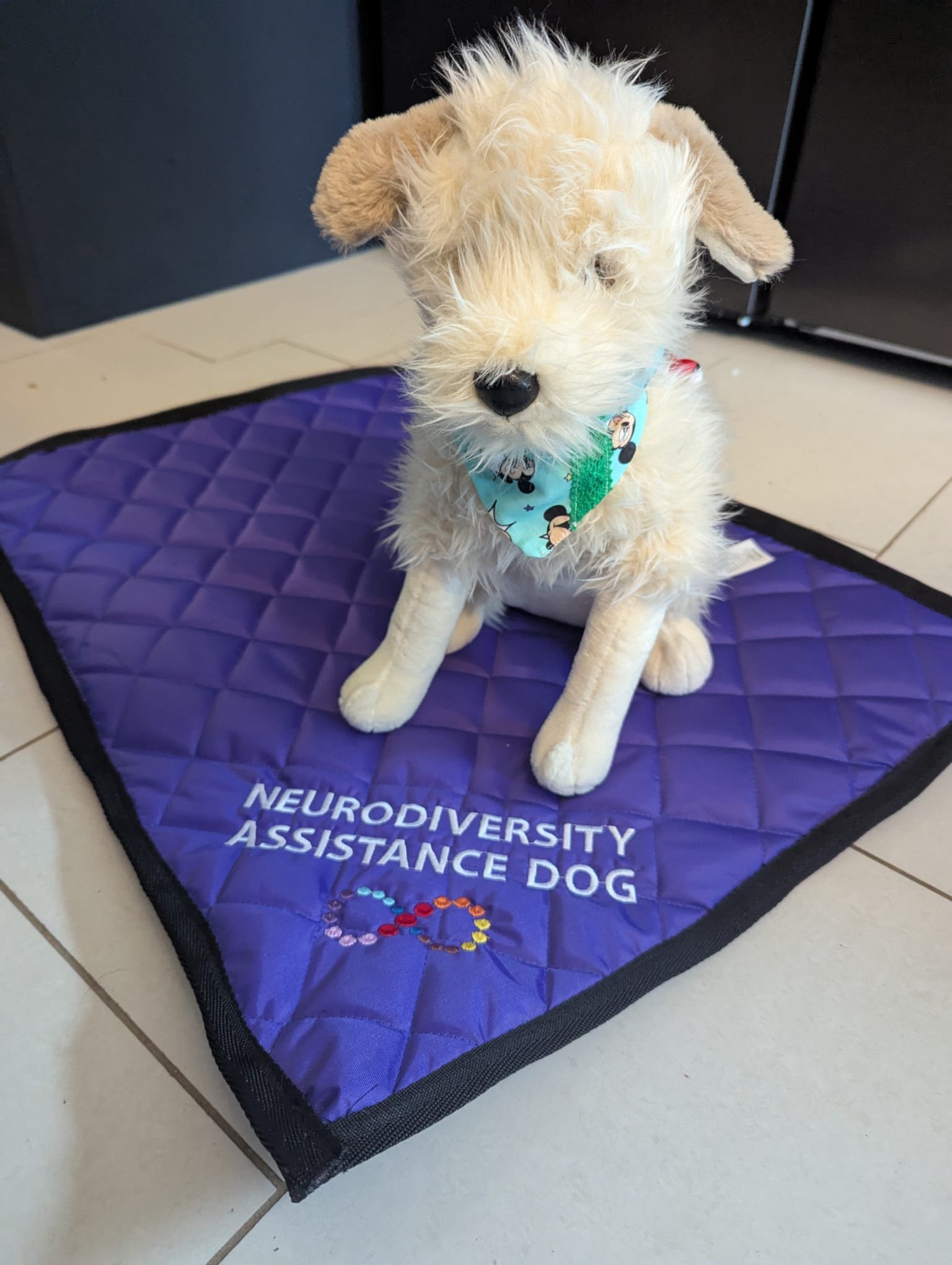 Neurodiversity Infinity Symbol Settle Mat