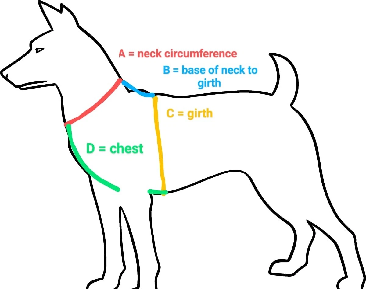 Embroidered Y Front Harness - Image 2